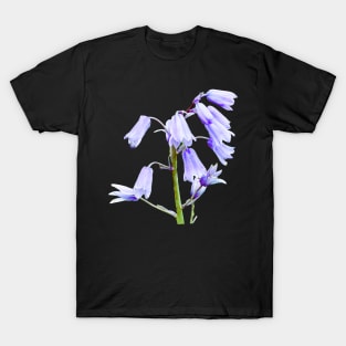 English Bluebell Flowers T-Shirt